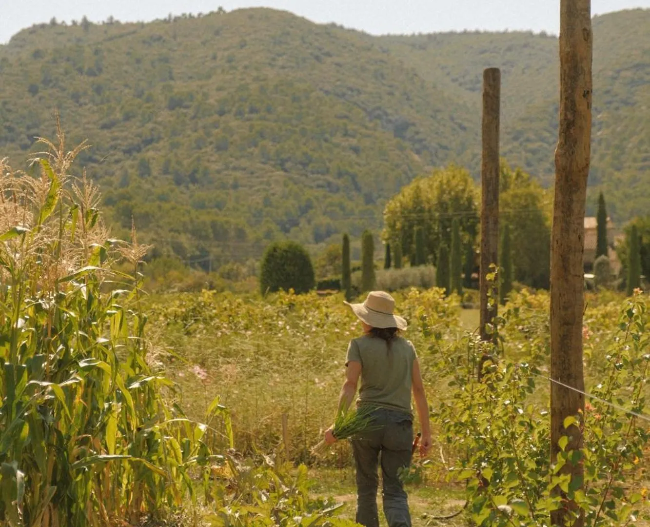La Bastide De Marie, Maisons Et Hotels Sibuet Ménerbes