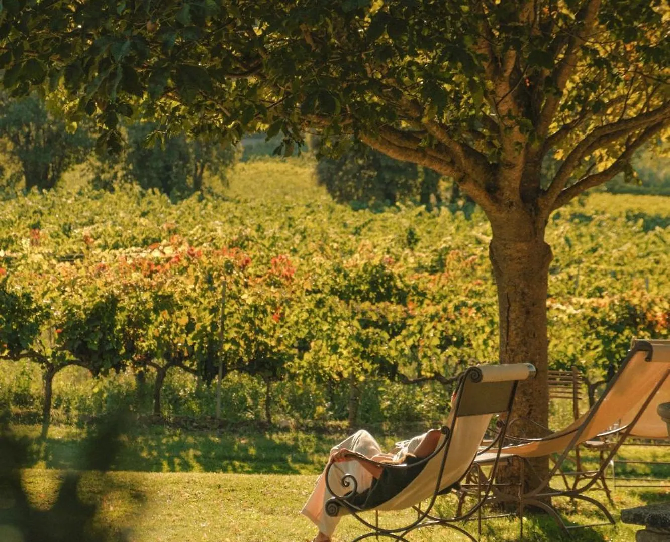 La Bastide De Marie, Maisons Et Hotels Sibuet Ménerbes